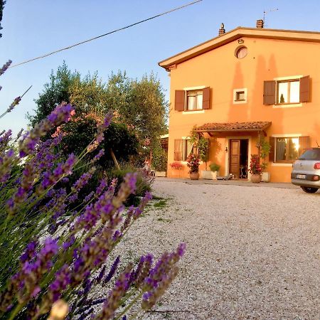 Locanda Della Lavanda 圣克莱门特 外观 照片