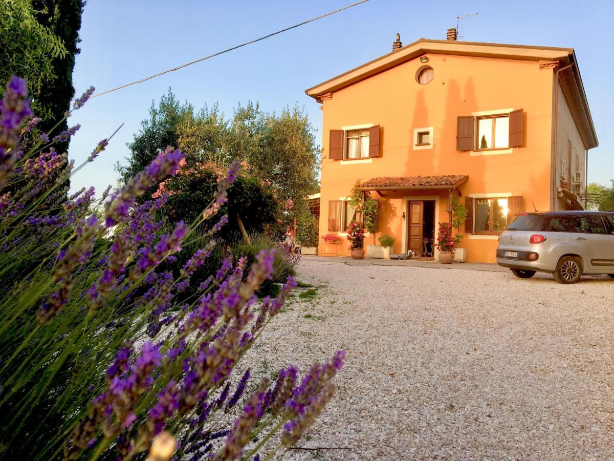 Locanda Della Lavanda 圣克莱门特 外观 照片